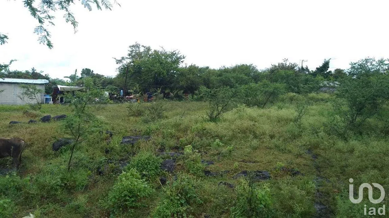 Terreno en Venta en Campo Sotelo, Temixco, Morelos | NEX-281658 | iad México | Foto 13 de 17