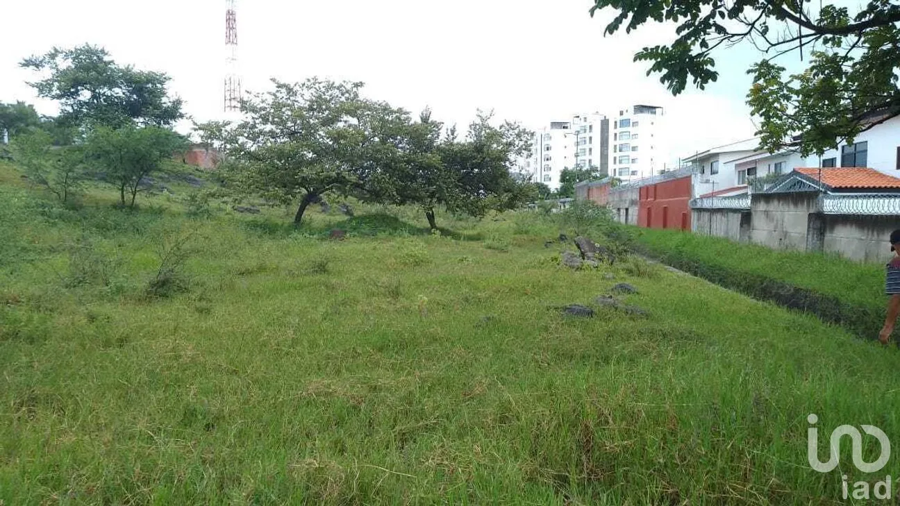 Terreno en Venta en Campo Sotelo, Temixco, Morelos | NEX-281658 | iad México | Foto 15 de 17