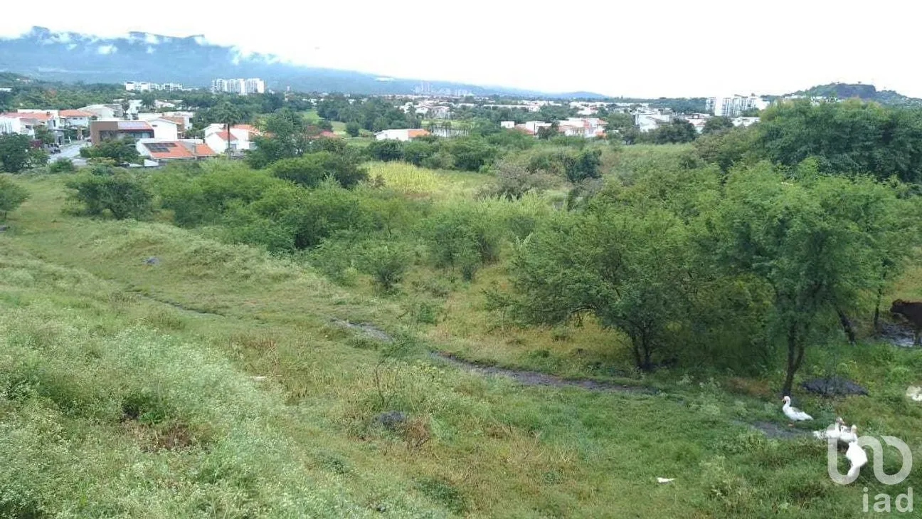 Terreno en Venta en Campo Sotelo, Temixco, Morelos | NEX-281658 | iad México | Foto 16 de 17
