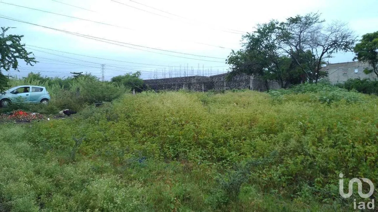 Terreno en Venta en Campo Sotelo, Temixco, Morelos | NEX-281658 | iad México | Foto 17 de 17