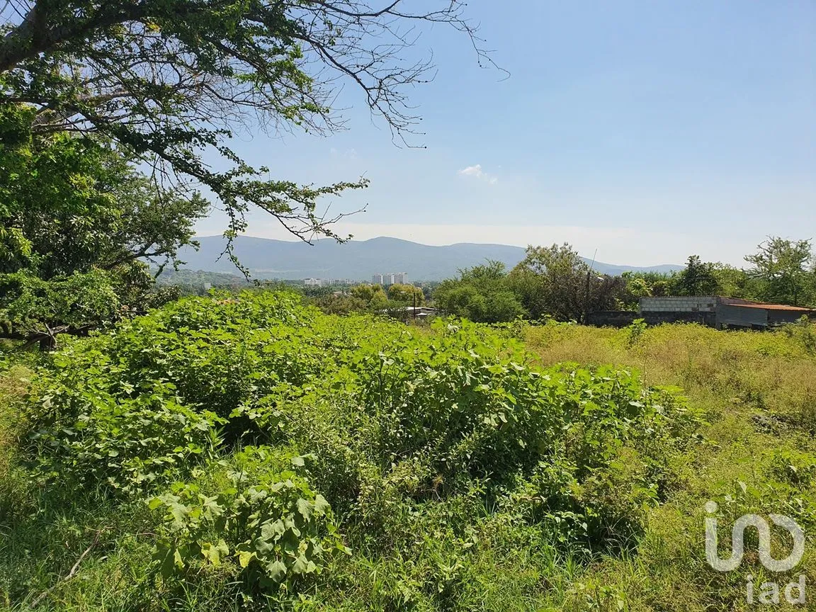 Terreno en Venta en Campo Sotelo, Temixco, Morelos | NEX-281658 | iad México | Foto 3 de 17