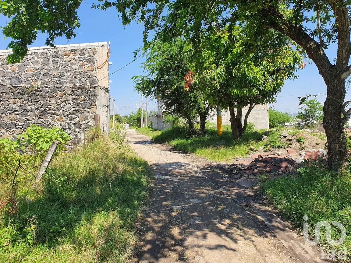 Terreno en Venta en Campo Sotelo, Temixco, Morelos | NEX-281658 | iad México | Foto 4 de 17