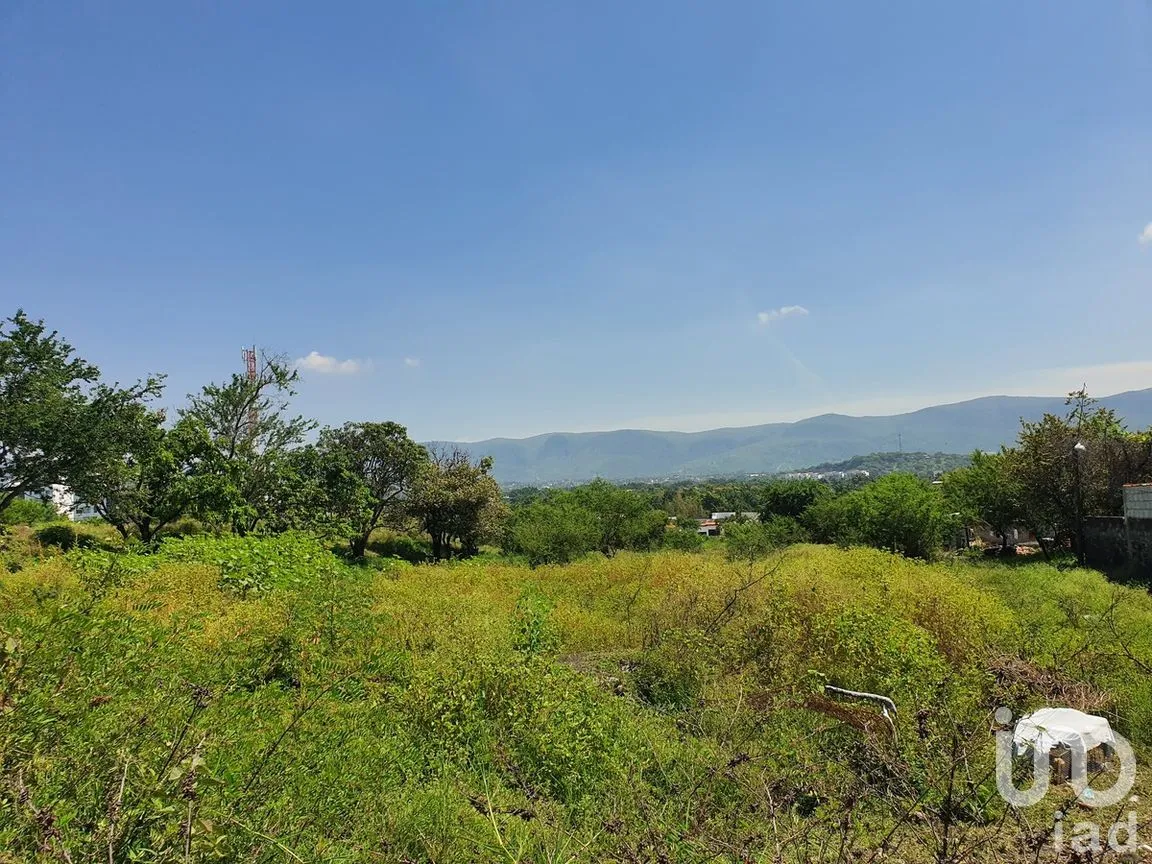 Terreno en Venta en Campo Sotelo, Temixco, Morelos | NEX-281658 | iad México | Foto 5 de 17