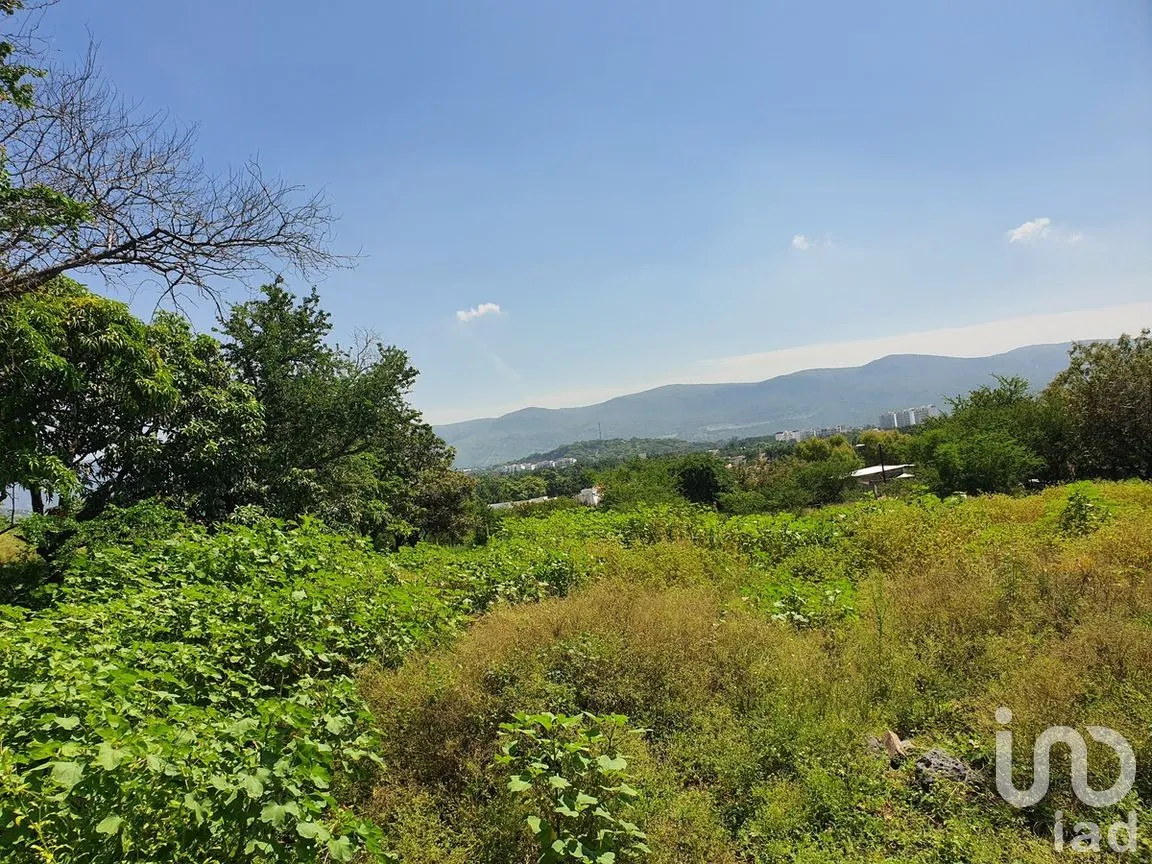 Terreno en Venta en Campo Sotelo, Temixco, Morelos | NEX-281658 | iad México | Foto 6 de 17