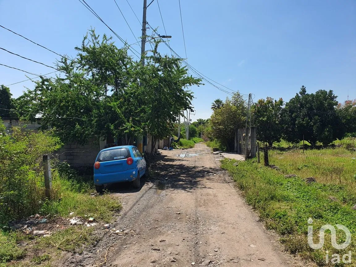 Terreno en Venta en Campo Sotelo, Temixco, Morelos | NEX-281658 | iad México | Foto 7 de 17