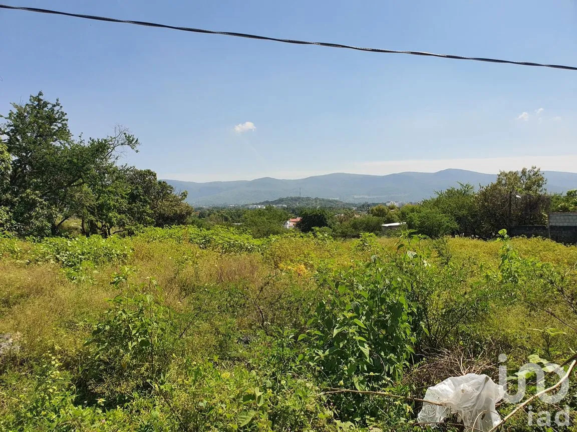 Terreno en Venta en Campo Sotelo, Temixco, Morelos | NEX-281658 | iad México | Foto 1 de 17