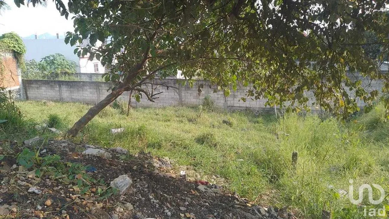 Terreno en Venta en Milpillas, Cuernavaca, Morelos | NEX-281661 | iad México | Foto 4 de 8