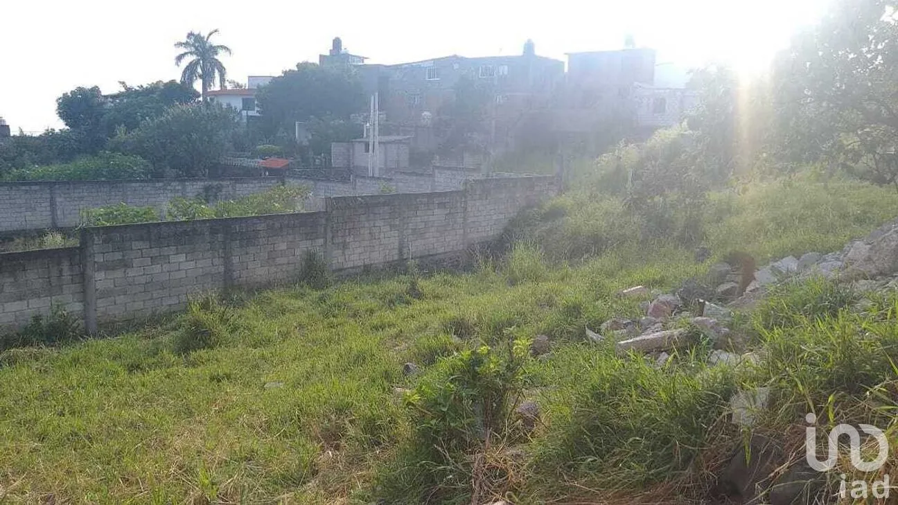 Terreno en Venta en Milpillas, Cuernavaca, Morelos | NEX-281661 | iad México | Foto 5 de 8