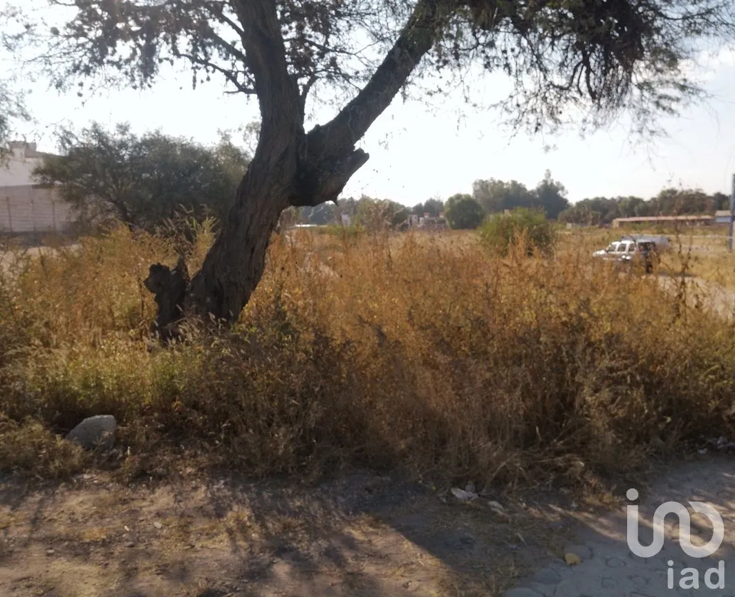 Terreno en Venta en Hacienda Grande, Tequisquiapan, Querétaro | NEX-281663 | iad México | Foto 4 de 8