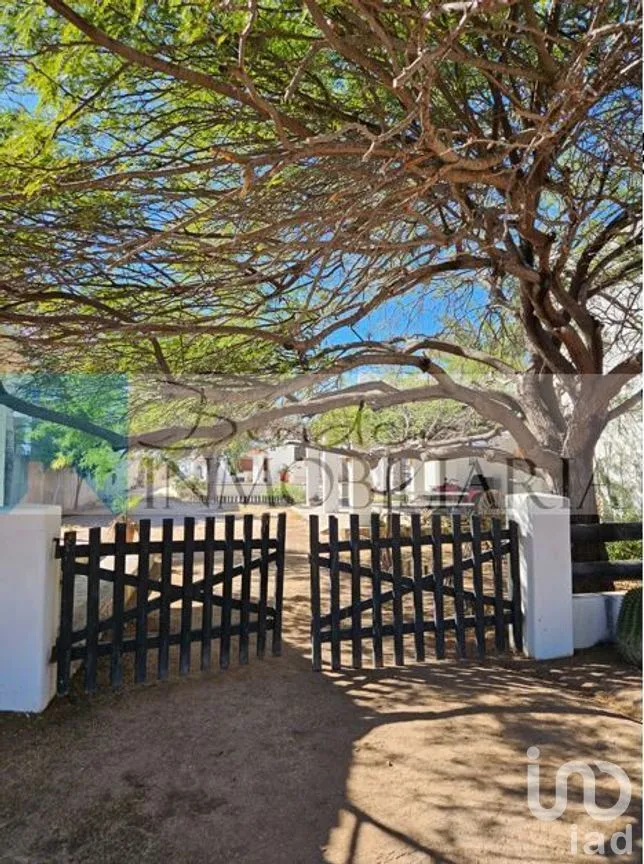 Casa en Venta en Camahuiroa, Huatabampo, Sonora | NEX-281700 | iad México | Foto 5 de 10
