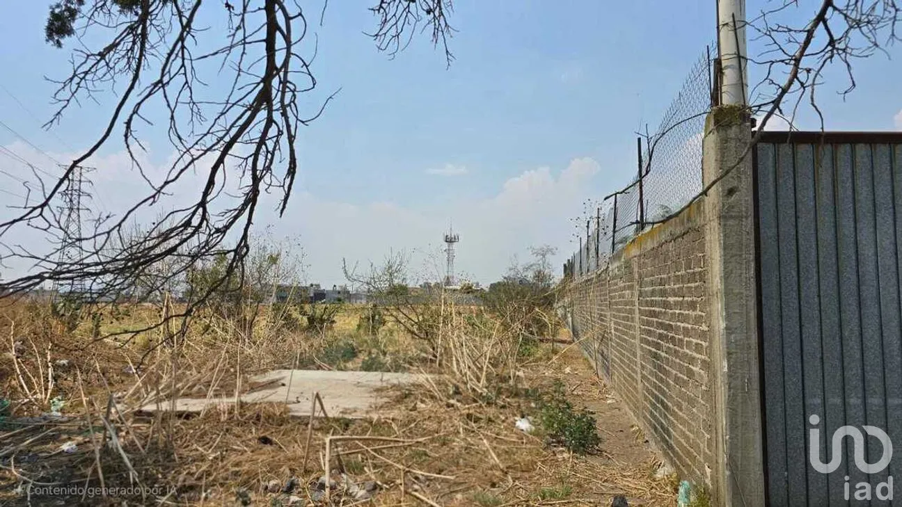 Terreno en Venta en San Juan Temamatla, Temamatla, Estado de México | NEX-281719 | iad México | Foto 2 de 7