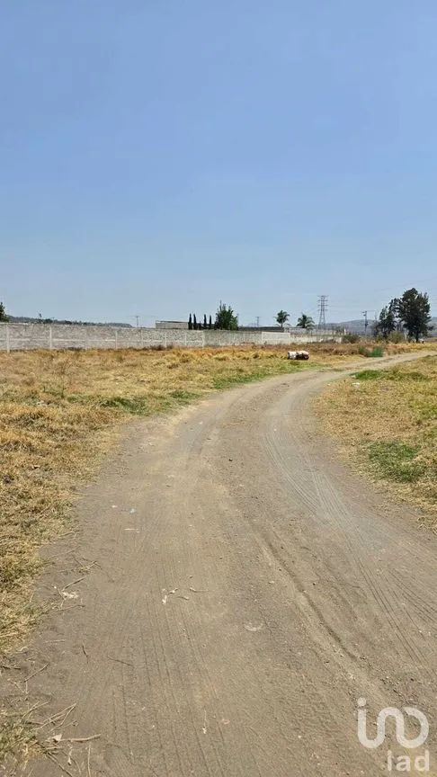 Terreno en Venta en San Juan Temamatla, Temamatla, Estado de México | NEX-281719 | iad México | Foto 3 de 7