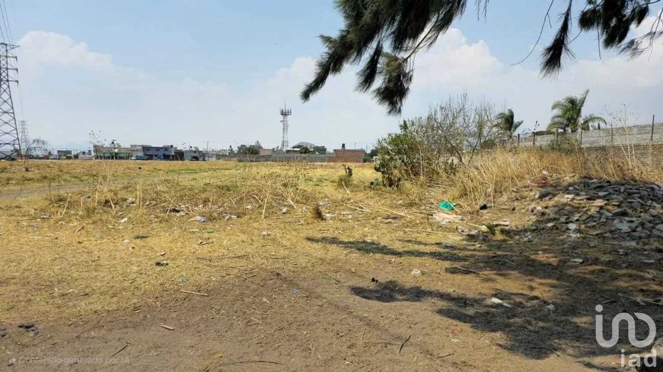Terreno en Venta en San Juan Temamatla, Temamatla, Estado de México | NEX-281719 | iad México | Foto 4 de 7