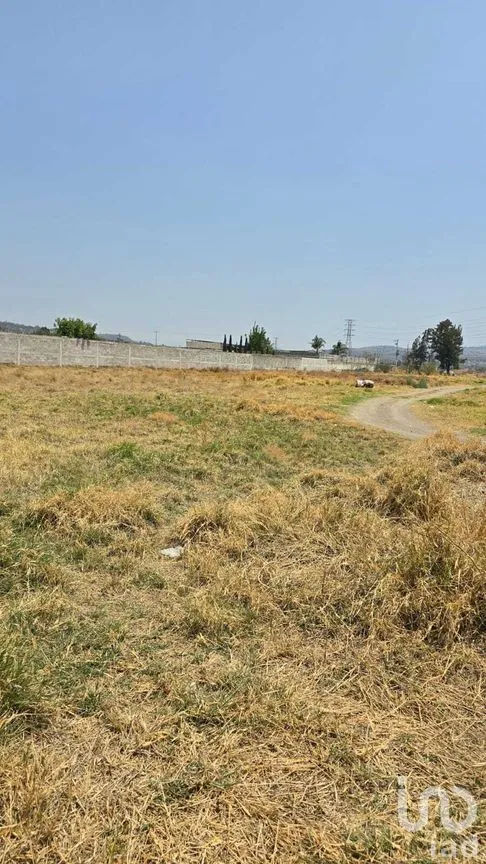 Terreno en Venta en San Juan Temamatla, Temamatla, Estado de México | NEX-281719 | iad México | Foto 5 de 7