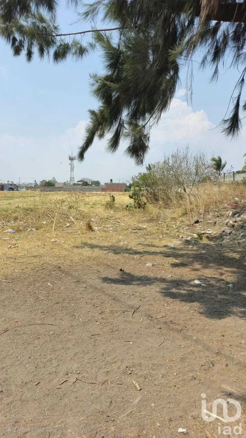 Terreno en Venta en San Juan Temamatla, Temamatla, Estado de México | NEX-281719 | iad México | Foto 6 de 7