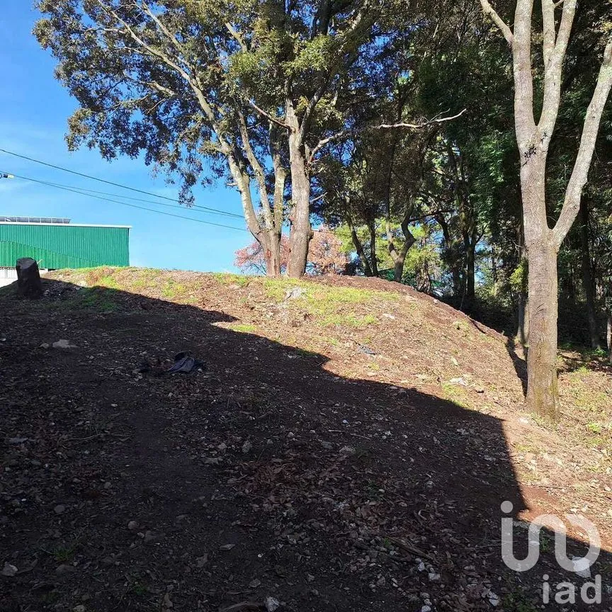 Terreno en Venta en Santa María Mazatla, Jilotzingo, Estado de México | NEX-281721 | iad México | Foto 5 de 14