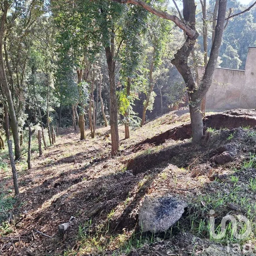 Terreno en Venta en Santa María Mazatla, Jilotzingo, Estado de México | NEX-281721 | iad México | Foto 6 de 14