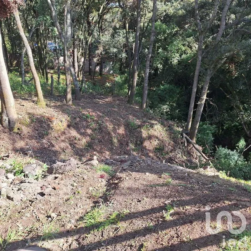 Terreno en Venta en Santa María Mazatla, Jilotzingo, Estado de México | NEX-281721 | iad México | Foto 7 de 14