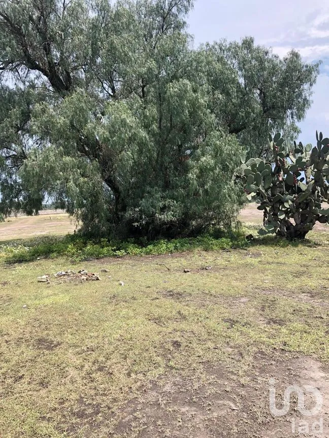 Terreno en Venta en El Cid, Tizayuca, Hidalgo | NEX-281730 | iad México | Foto 8 de 8