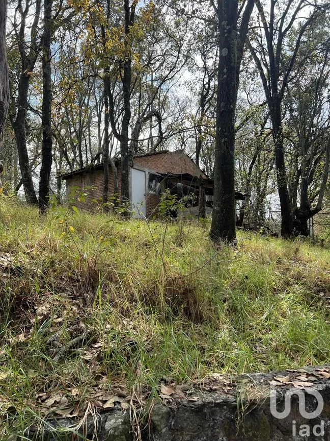 Casa en Venta en San Jeronimo Zacapexco, Villa del Carbón, Estado de México | NEX-281733 | iad México | Foto 4 de 30