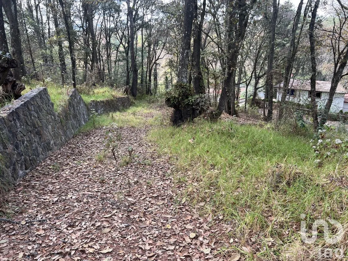 Casa en Venta en San Jeronimo Zacapexco, Villa del Carbón, Estado de México | NEX-281733 | iad México | Foto 8 de 30