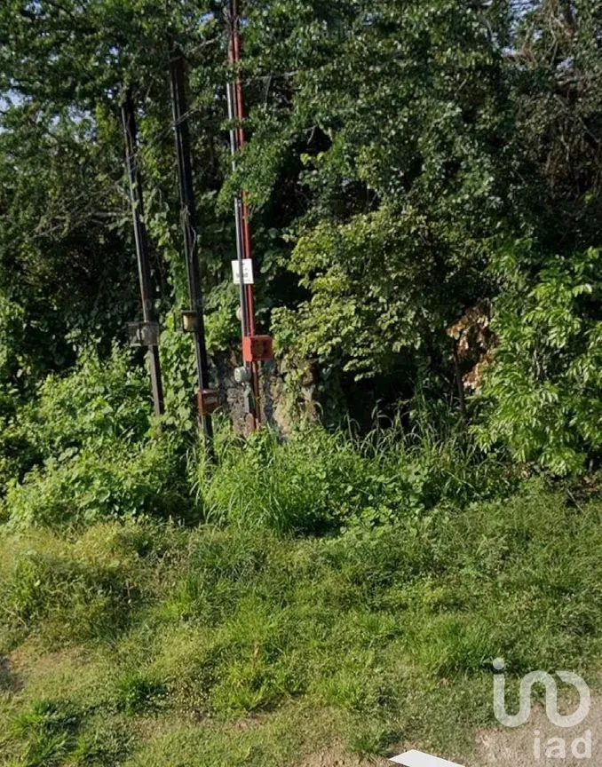 Terreno en Venta en Chiconcuac, Xochitepec, Morelos | NEX-285038 | iad México | Foto 1 de 4
