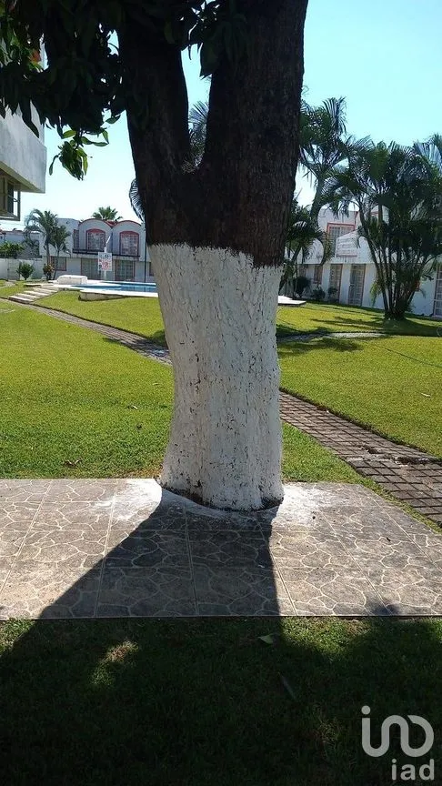Casa en Venta en Llano Largo, Acapulco de Juárez, Guerrero | NEX-288095 | iad México | Foto 6 de 23