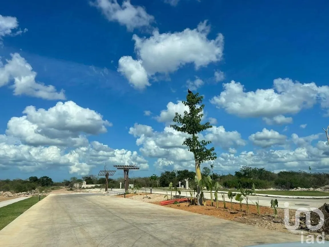 Terreno en Venta en Cabo Norte, Mérida, Yucatán | NEX-228337 | iad México | Foto 8 de 14