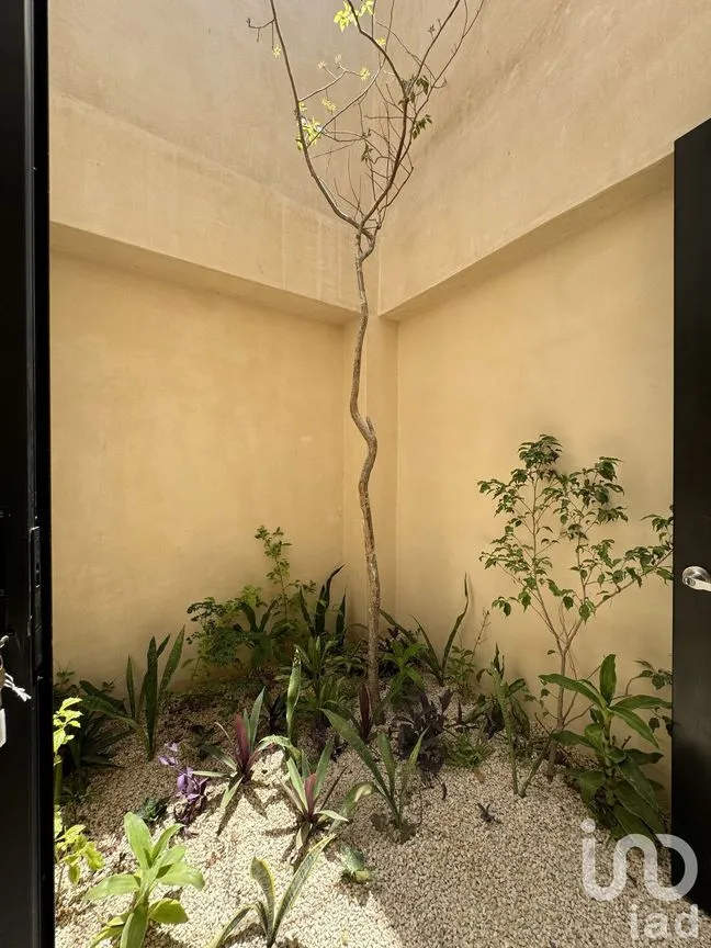 Casa en Venta en Mérida Centro, Mérida, Yucatán | NEX-231675 | iad México | Foto 15 de 22