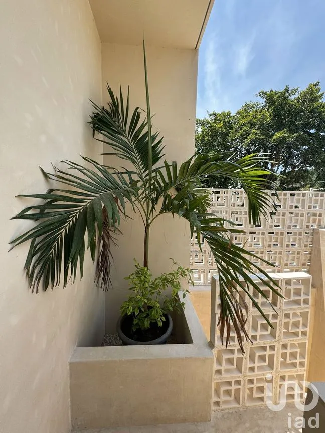 Casa en Venta en Mérida Centro, Mérida, Yucatán | NEX-231675 | iad México | Foto 17 de 22