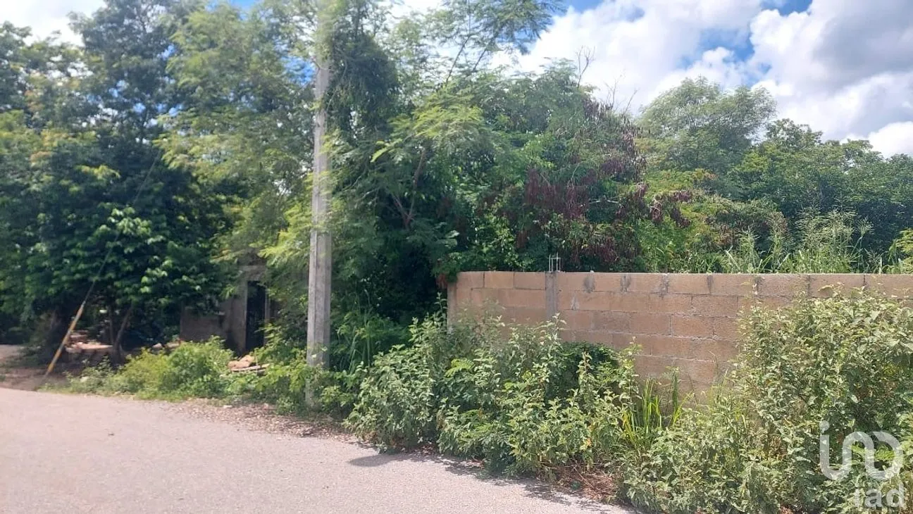 Terreno en Venta en Chochola, Chocholá, Yucatán | NEX-280129 | iad México | Foto 2 de 5