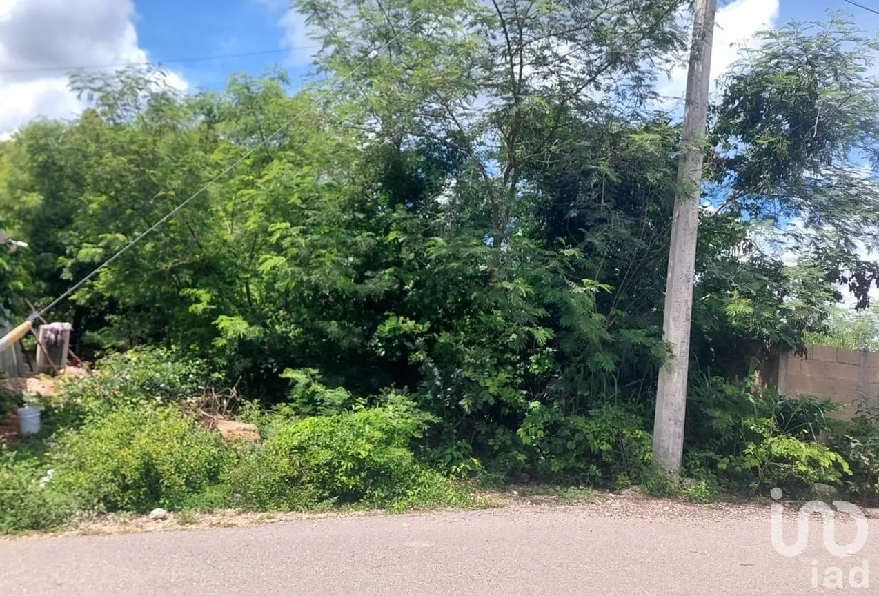 Terreno en Venta en Chochola, Chocholá, Yucatán | NEX-280129 | iad México | Foto 3 de 5