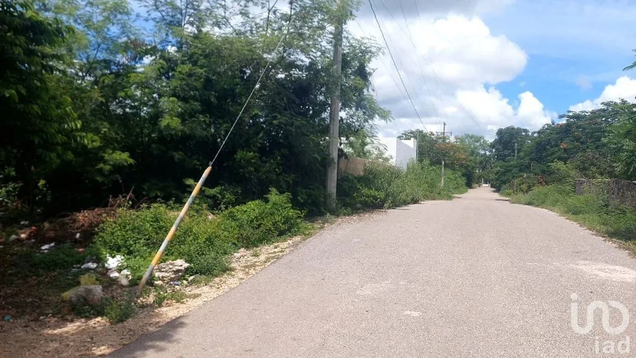 Terreno en Venta en Chochola, Chocholá, Yucatán | NEX-280129 | iad México | Foto 4 de 5