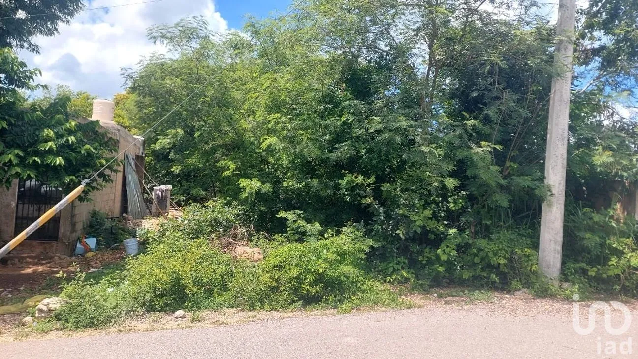 Terreno en Venta en Chochola, Chocholá, Yucatán | NEX-280129 | iad México | Foto 1 de 5