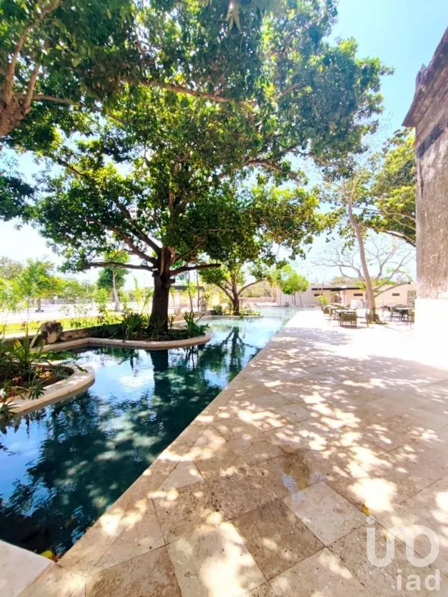 Terreno en Venta en Kikteil, Mérida, Yucatán | NEX-280376 | iad México | Foto 2 de 37