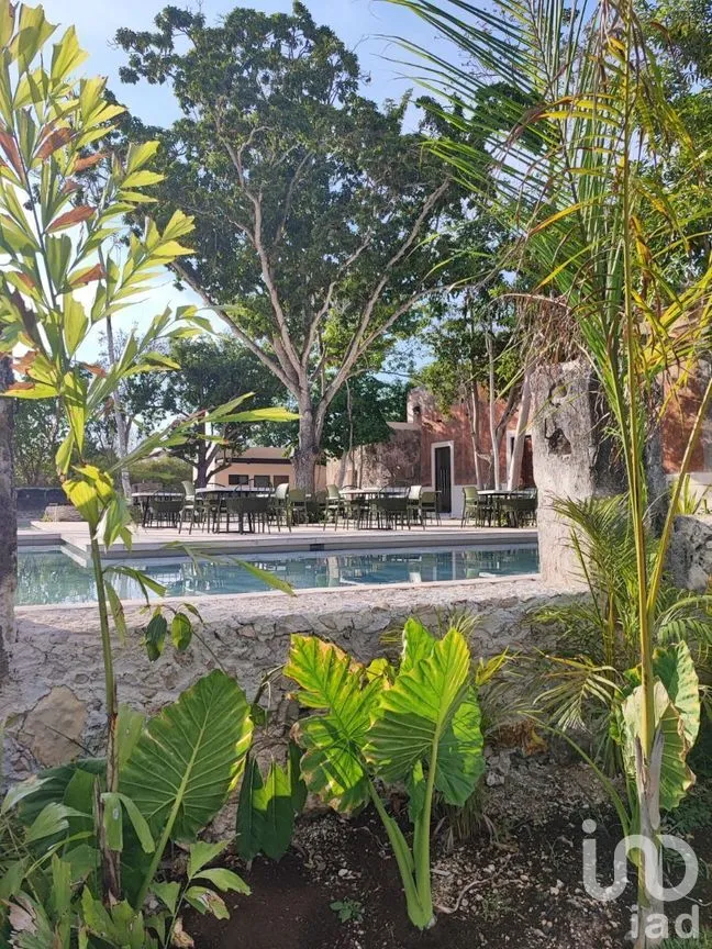Terreno en Venta en Kikteil, Mérida, Yucatán | NEX-280376 | iad México | Foto 30 de 37