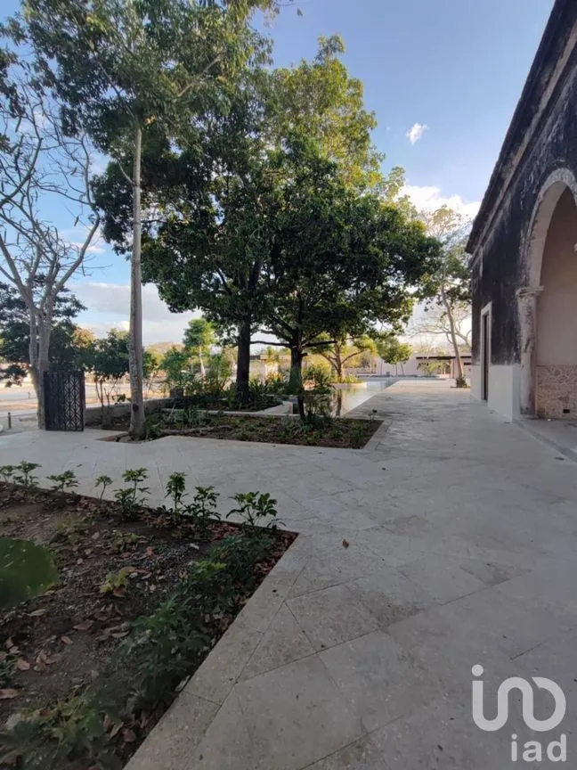 Terreno en Venta en Kikteil, Mérida, Yucatán | NEX-280376 | iad México | Foto 35 de 37
