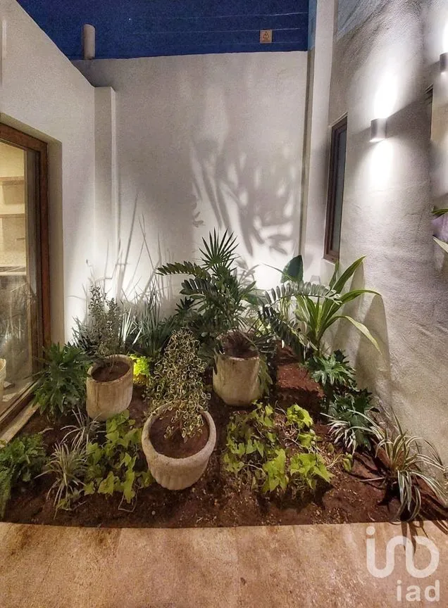 Casa en Venta en Mérida Centro, Mérida, Yucatán | NEX-280409 | iad México | Foto 19 de 21