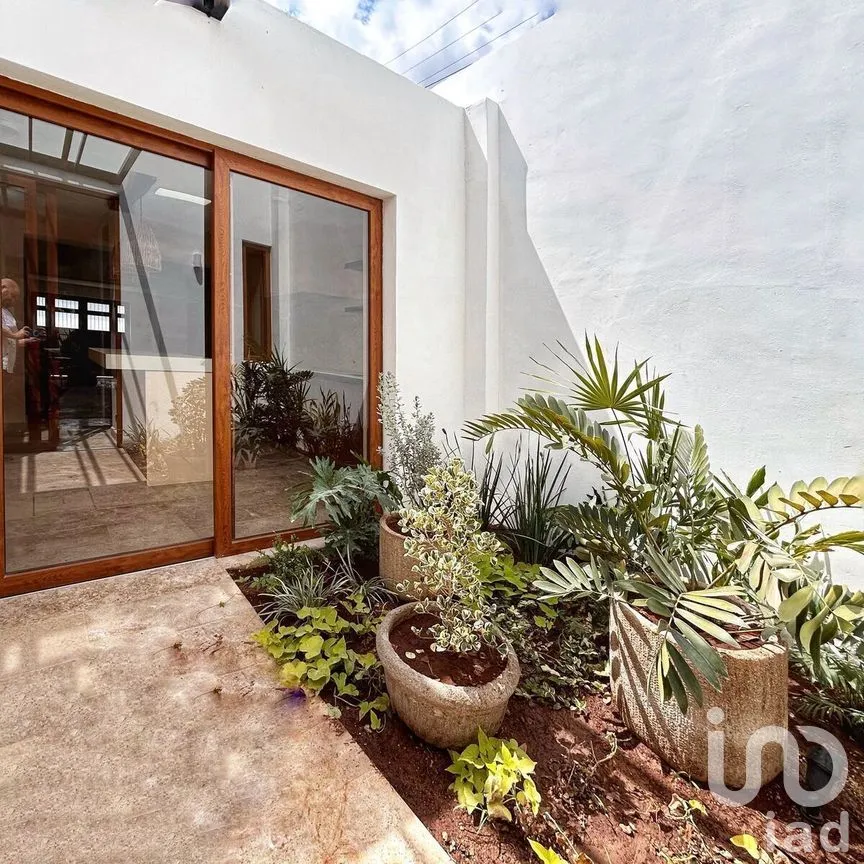 Casa en Venta en Mérida Centro, Mérida, Yucatán | NEX-280409 | iad México | Foto 4 de 21