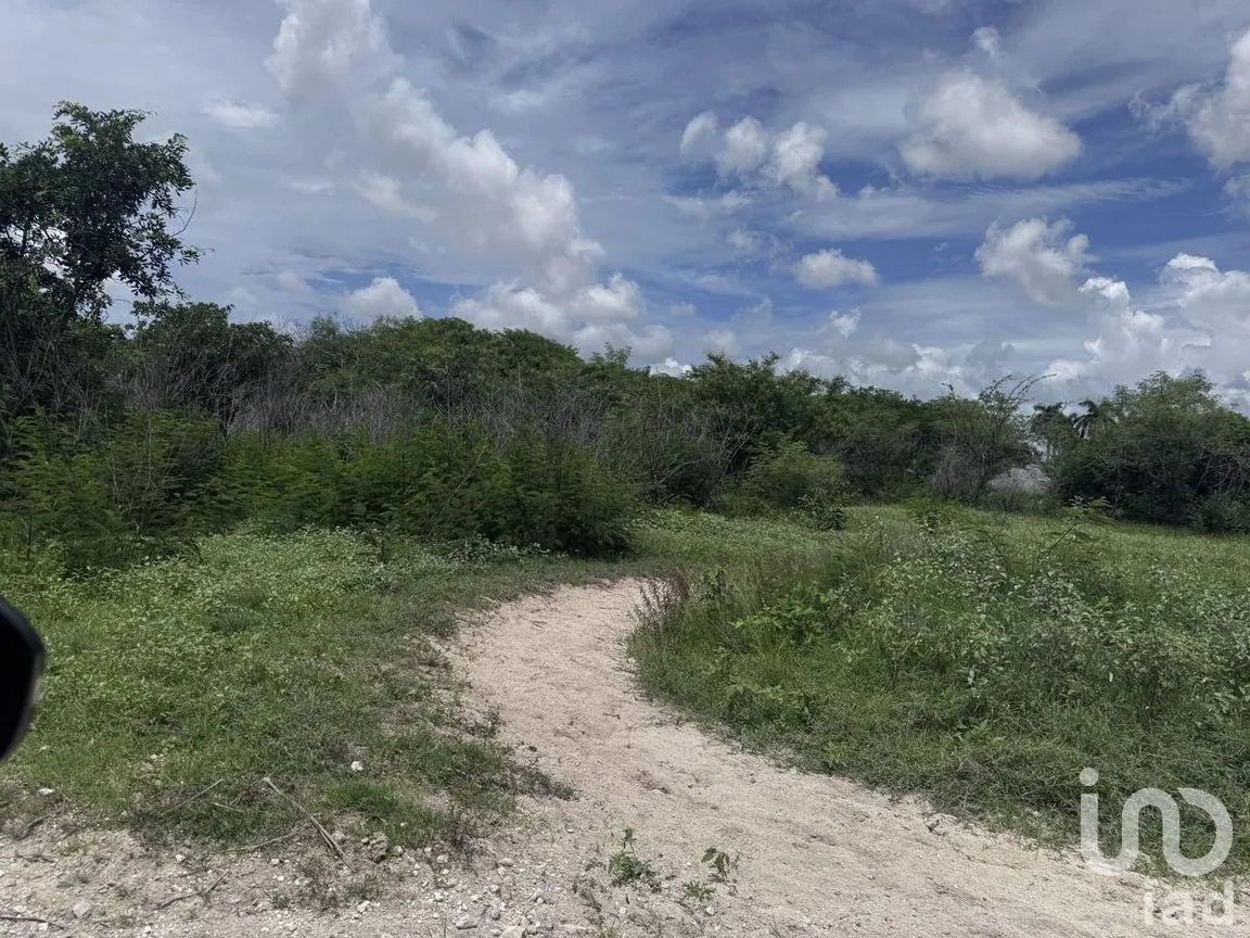 Terreno en Venta en San Pedro Noh Pat, Kanasín, Yucatán | NEX-280567 | iad México | Foto 12 de 19