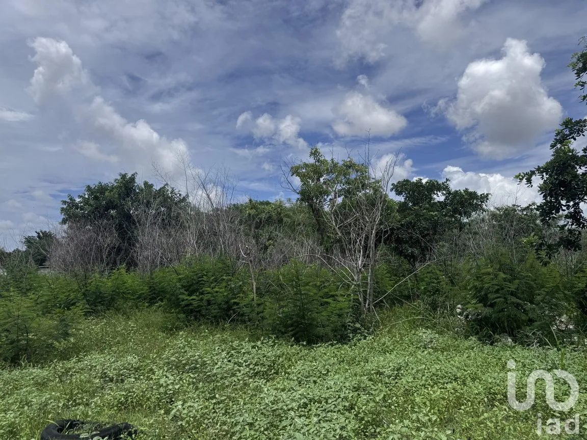Terreno en Venta en San Pedro Noh Pat, Kanasín, Yucatán | NEX-280567 | iad México | Foto 14 de 19