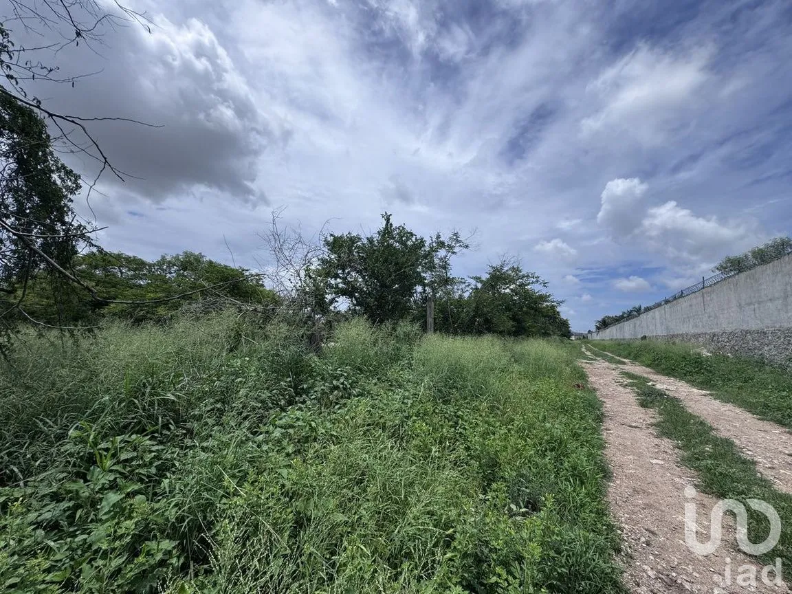 Terreno en Venta en San Pedro Noh Pat, Kanasín, Yucatán | NEX-280567 | iad México | Foto 5 de 19