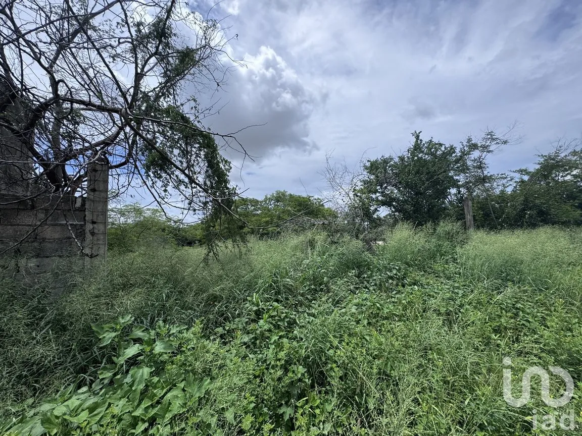 Terreno en Venta en San Pedro Noh Pat, Kanasín, Yucatán | NEX-280567 | iad México | Foto 6 de 19