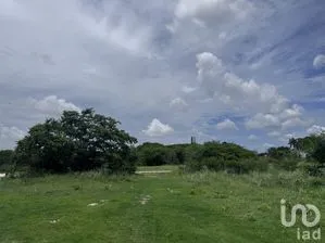 NEX-280567 - Terreno en Venta en San Pedro Noh Pat, CP 97370, Yucatán.