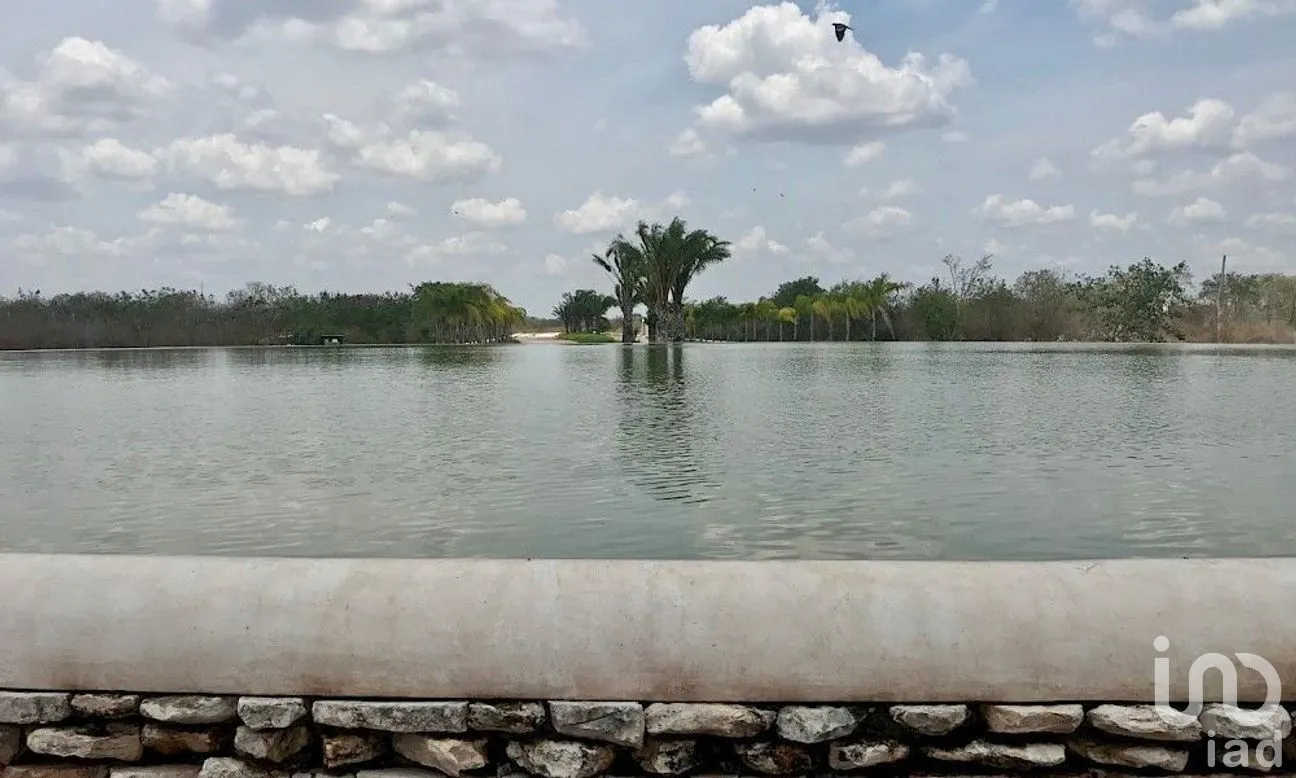 Terreno en Venta en Mérida, Mérida, Yucatán | NEX-280572 | iad México | Foto 4 de 10