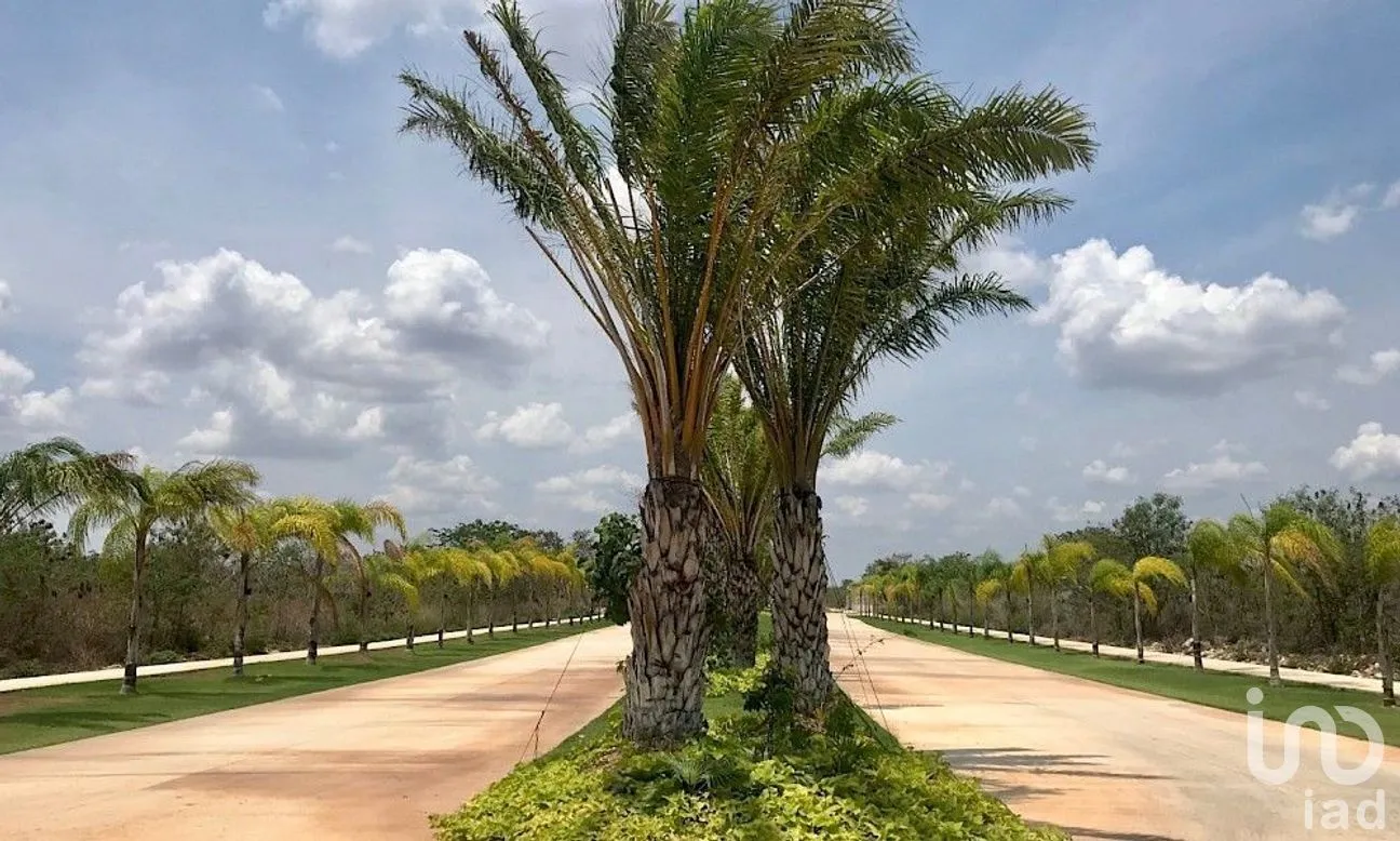 Terreno en Venta en Mérida, Mérida, Yucatán | NEX-280572 | iad México | Foto 5 de 10