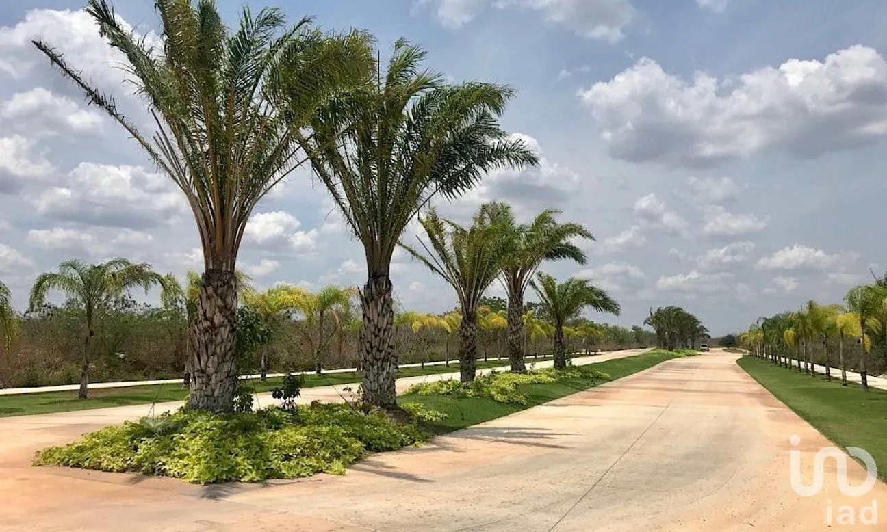 Terreno en Venta en Mérida, Mérida, Yucatán | NEX-280572 | iad México | Foto 6 de 10