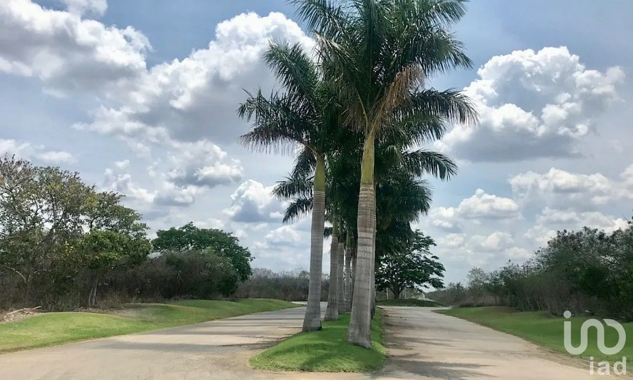 Terreno en Venta en Mérida, Mérida, Yucatán | NEX-280572 | iad México | Foto 7 de 10