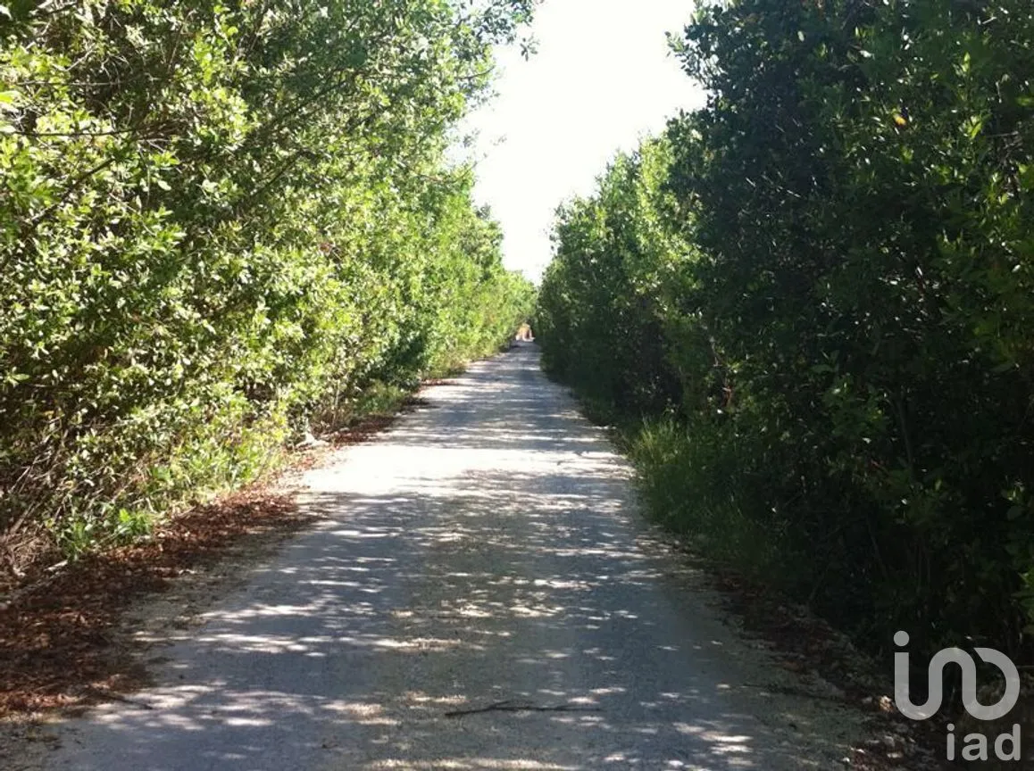 Terreno en Venta en Puerto Morelos, Puerto Morelos, Quintana Roo | NEX-280576 | iad México | Foto 2 de 12