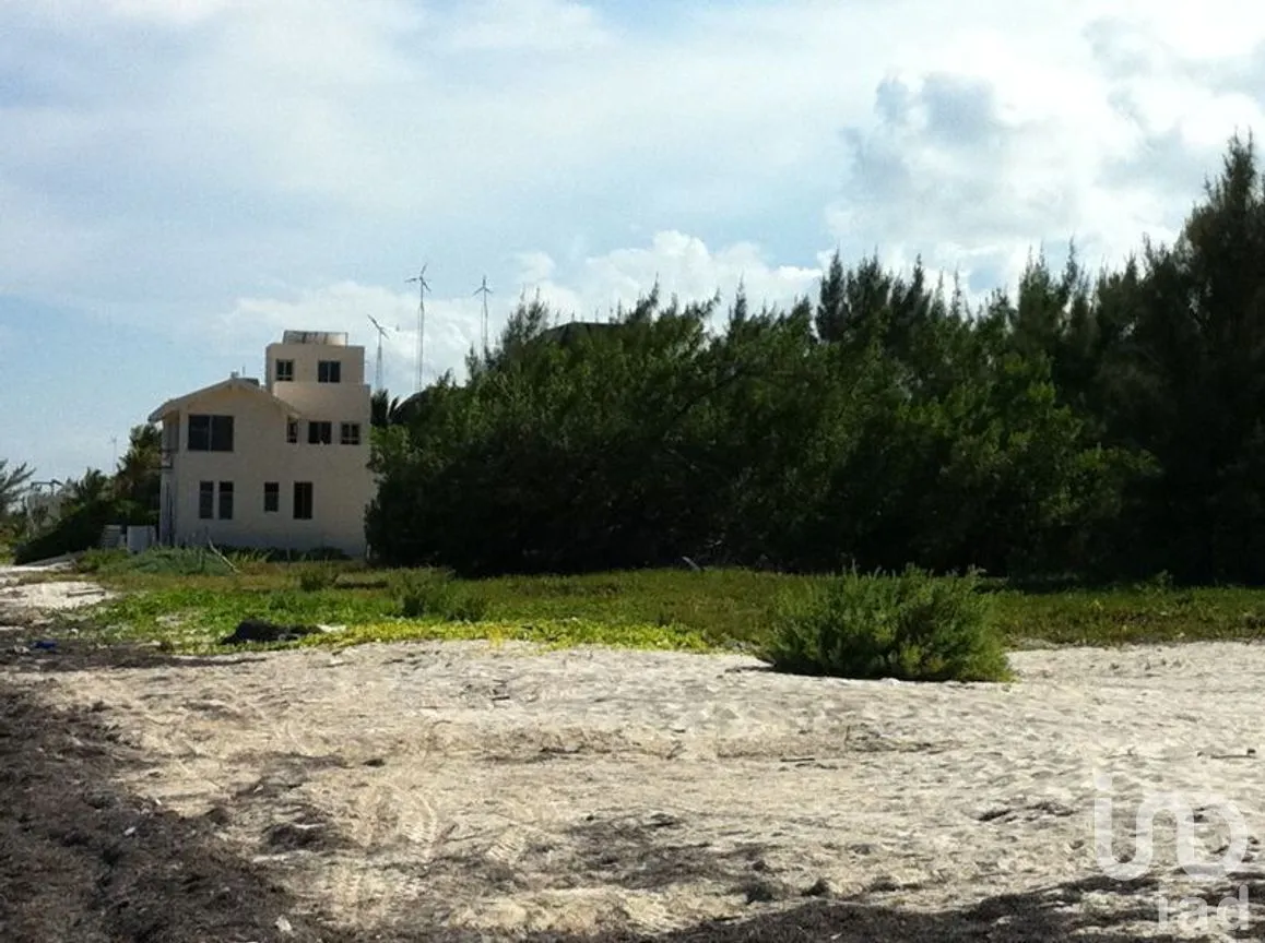 Terreno en Venta en Puerto Morelos, Puerto Morelos, Quintana Roo | NEX-280576 | iad México | Foto 11 de 12